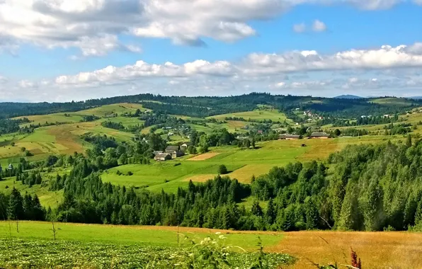 Mountains, nature, Carpathians
