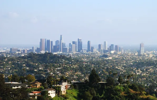 Trees, Park, home, skyscrapers, megapolis, Los Angeles, Downtown