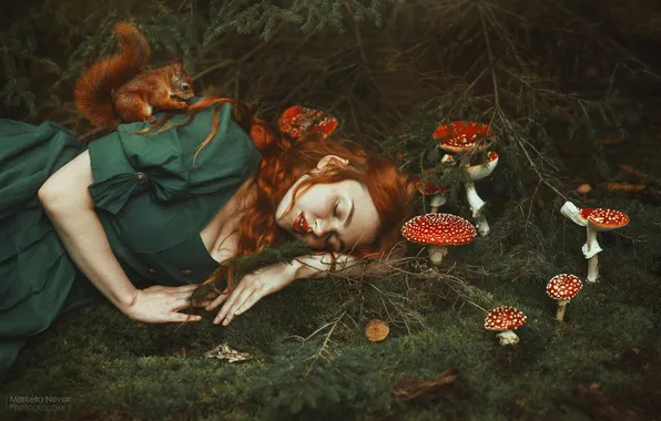 Forest, girl, pose, mushrooms, sleep, hands, protein, Amanita