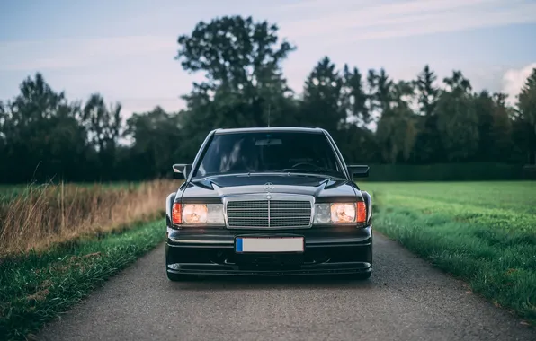 Picture Mercedes-Benz, Mercedes, 1990, 190, Mercedes-Benz 190 E 2.5-16 Evolution II