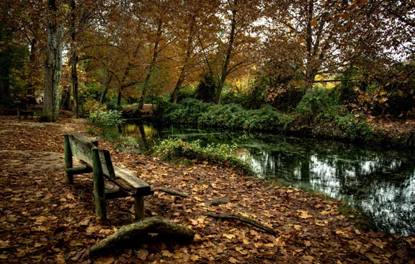 Autumn, Park, river, bench