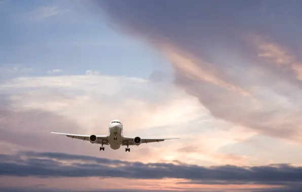 The sky, clouds, flight, sunset, the plane, in the air, passenger