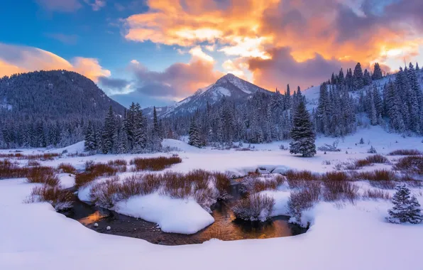 Winter, snow, mountains, stream, USA, Utah