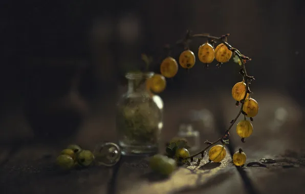 Glass, light, berries, bottle, branch, still life, gooseberry, bokeh