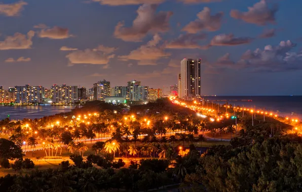 Sea, the sky, clouds, night, lights, palm trees, coast, home