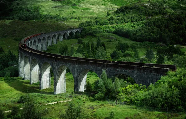 Greens, forest, summer, bridge, hills, train, railroad, arch