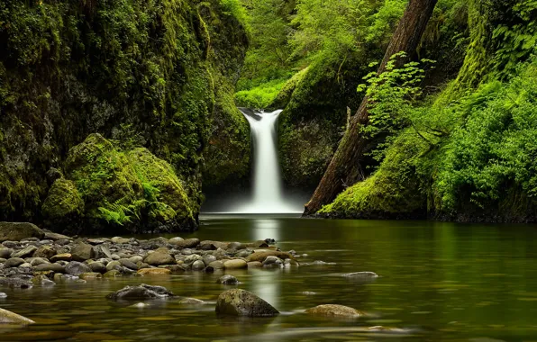 Picture stones, shore, vegetation, waterfall, pond