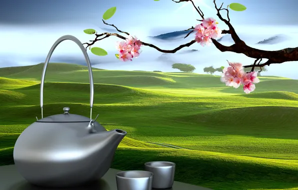 Picture Sakura, kettle, Cup, Eastern landscapes