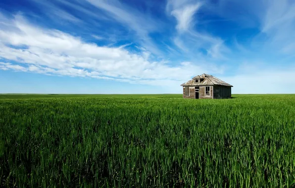 Field, landscape, home