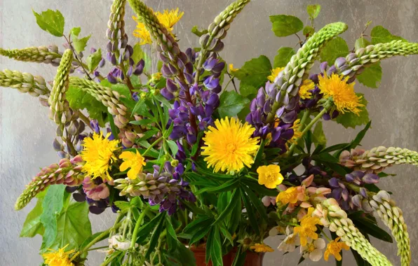 Summer, bouquet, field, Lupin