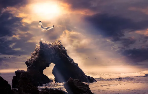 Sea, rocks, Seagull