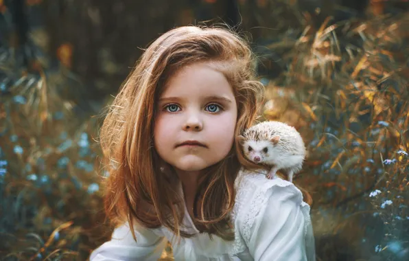 Look, portrait, girl, baby, hedgehog, Marketa Novak, hedgehog