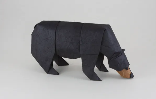 Bear, bear, origami, origami, sniff, black bear, sniffing, black bear