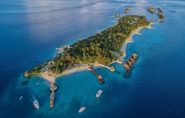 Palm trees, the ocean, island, boats, The Maldives, resort, the view from the top, Maldives