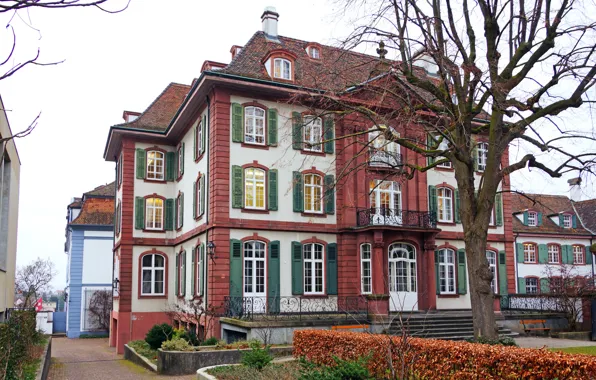 Picture autumn, house, tree, Switzerland, yard, the bushes, Basel