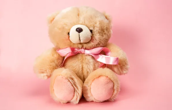 Toy, bear, plush, toy, bear, pink, cute, Teddy