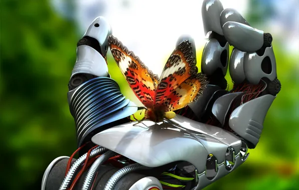 Picture butterfly, mechanism, robot, hand