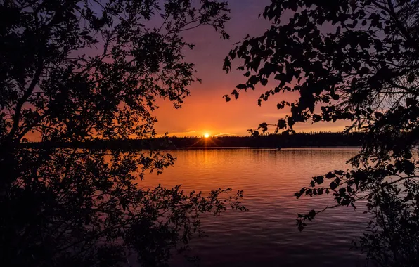 The sky, sunset, nature, lake
