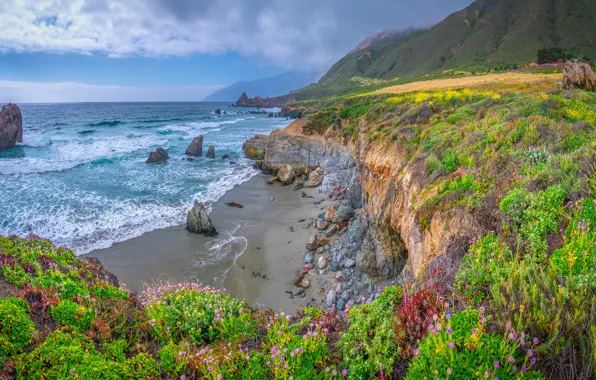 The sky, flowers, the ocean, coast, view, CA, California, Big Sur