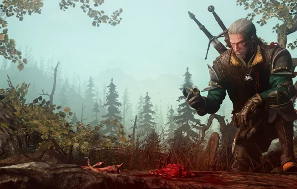 Forest, weapons, the remains, warrior, The Witcher, Geralt of Rivia