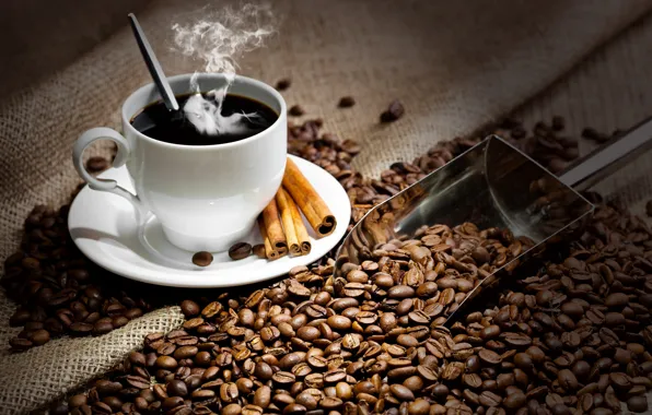 Coffee, hot, grain, spoon, Cup, drink, cinnamon, saucer