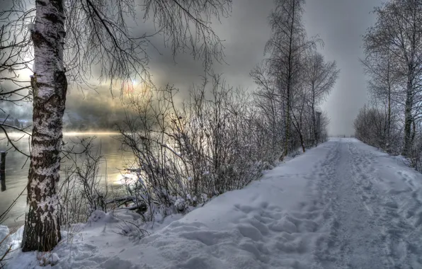 Picture winter, snow, river, birch