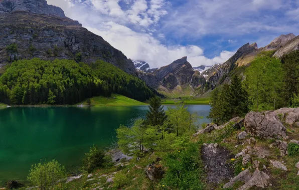 Picture mountains, lake, Switzerland, Alps, Switzerland, Alps, Sealeze, Seealpsee