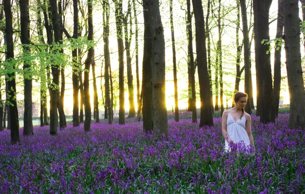 Picture girl, flowers, nature, morning, The carpets of bluebells