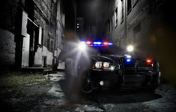 Night, the city, lights, police, quarter, siren