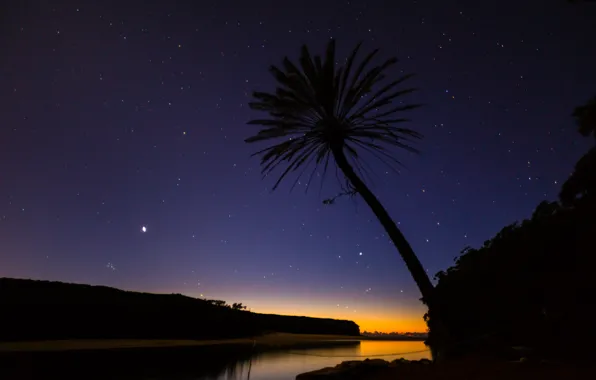 Beach, stars, trees, palm trees, the evening, Austria, national Park