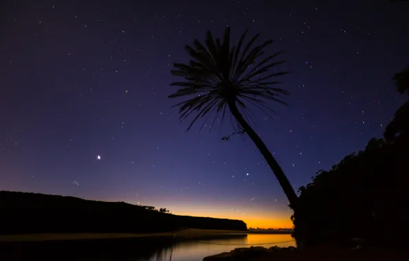 Picture beach, stars, Palma, tree, the evening, Austria, national Park