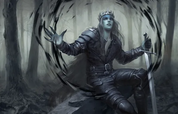 Magic, sword, crown, MAG, guy, king