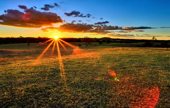 Picture field, the sky, grass, the sun, clouds, rays, trees, sunset