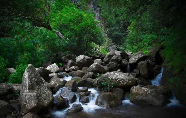Water, nature, stream, stones, waterfall