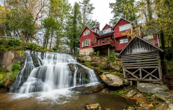 Picture trees, nature, river, waterfall, home