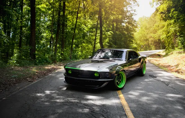 Road, greens, nature, mustang, ford, rtr-x