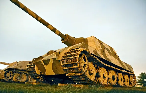 WWII, military equipment, tank destroyer, Hunting Tiger (H)