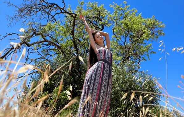 Grass, sky, hot girl, field, nature, tree, model, Portugal