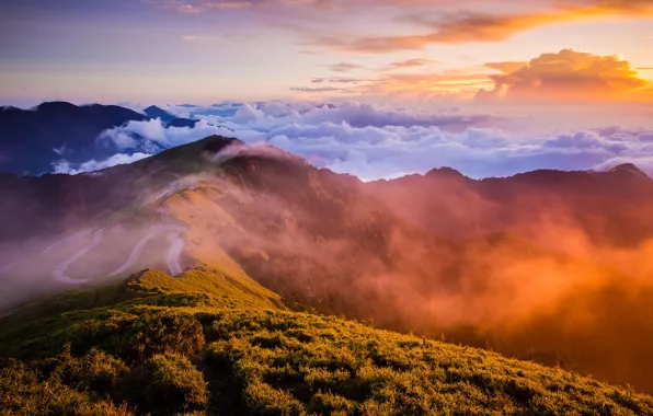 Picture forest, the sky, grass, clouds, light, landscape, sunset, mountains