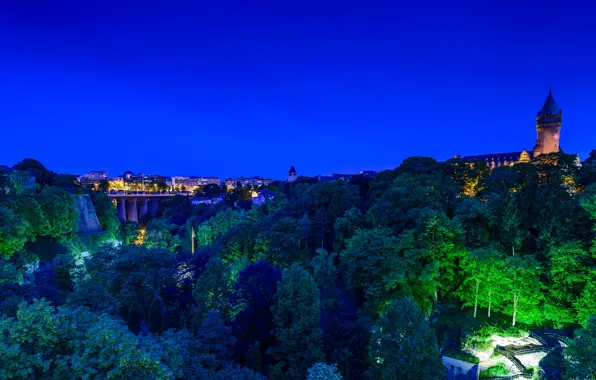 Trees, night, bridge, lights, castle, home, panorama, Luxembourg