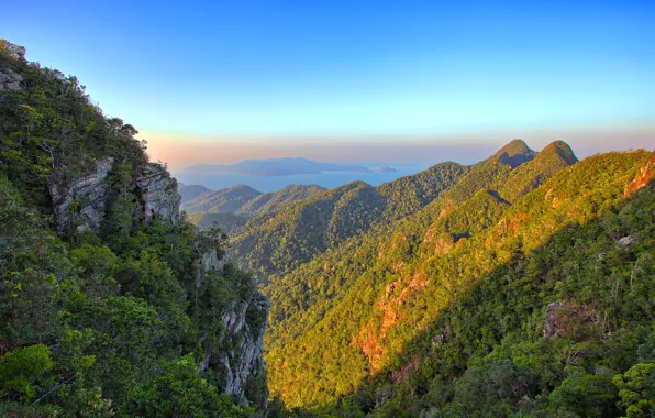 The sky, trees, mountains, dawn, morning, slope