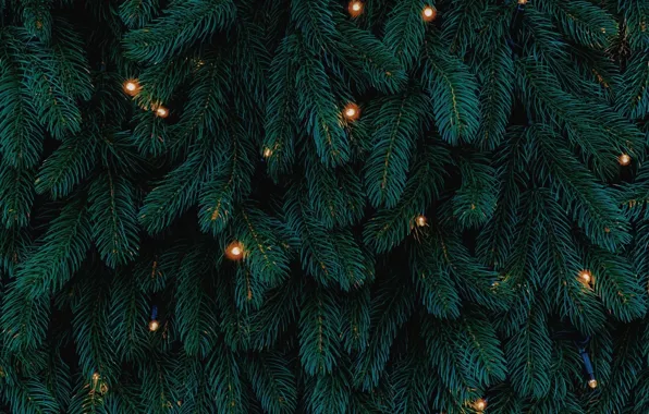 Lights, Christmas, New year, tree, garland, holidays
