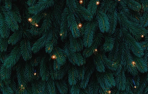 Holiday, tree, new year, lights, Christmas, garland