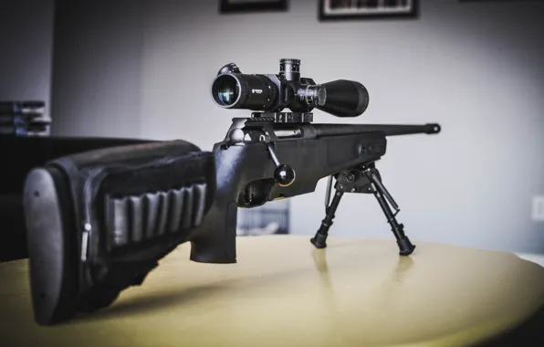 Sniper rifle, Sig Sauer, SSG 3000