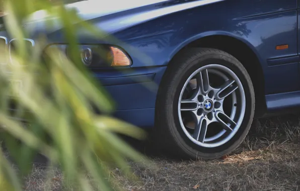 Auto, BMW, e39