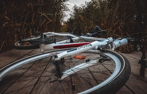 Sport, sport, bicycle, bike, led