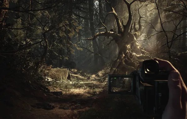 Horror, game, Blair witch, Bloober Team, Blair witch