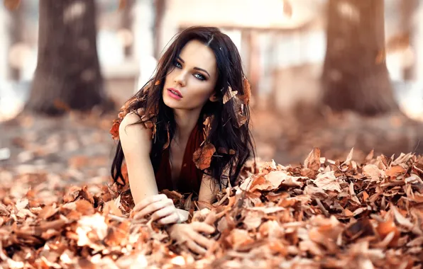 Autumn, leaves, girl, hair, awakening, Alessandro Di Cicco, Iced Eyes