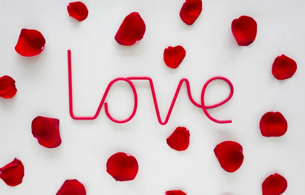 Love, roses, petals, red, love, rose, romantic, petals