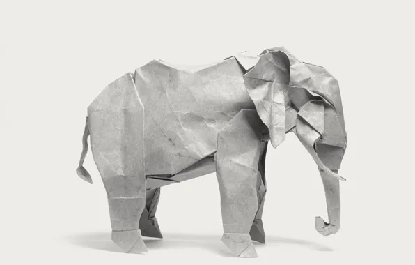 Paper, elephant, origami